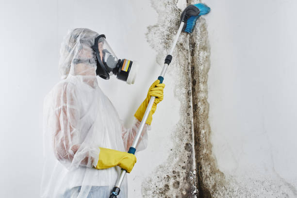 Best Water Damage Restoration  in Coudersport, PA