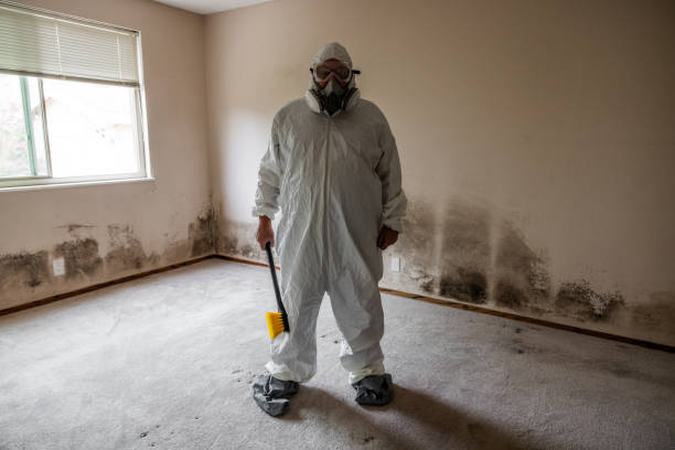 Best Fast Mold Removal  in Coudersport, PA